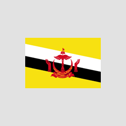 brunei - edited.png